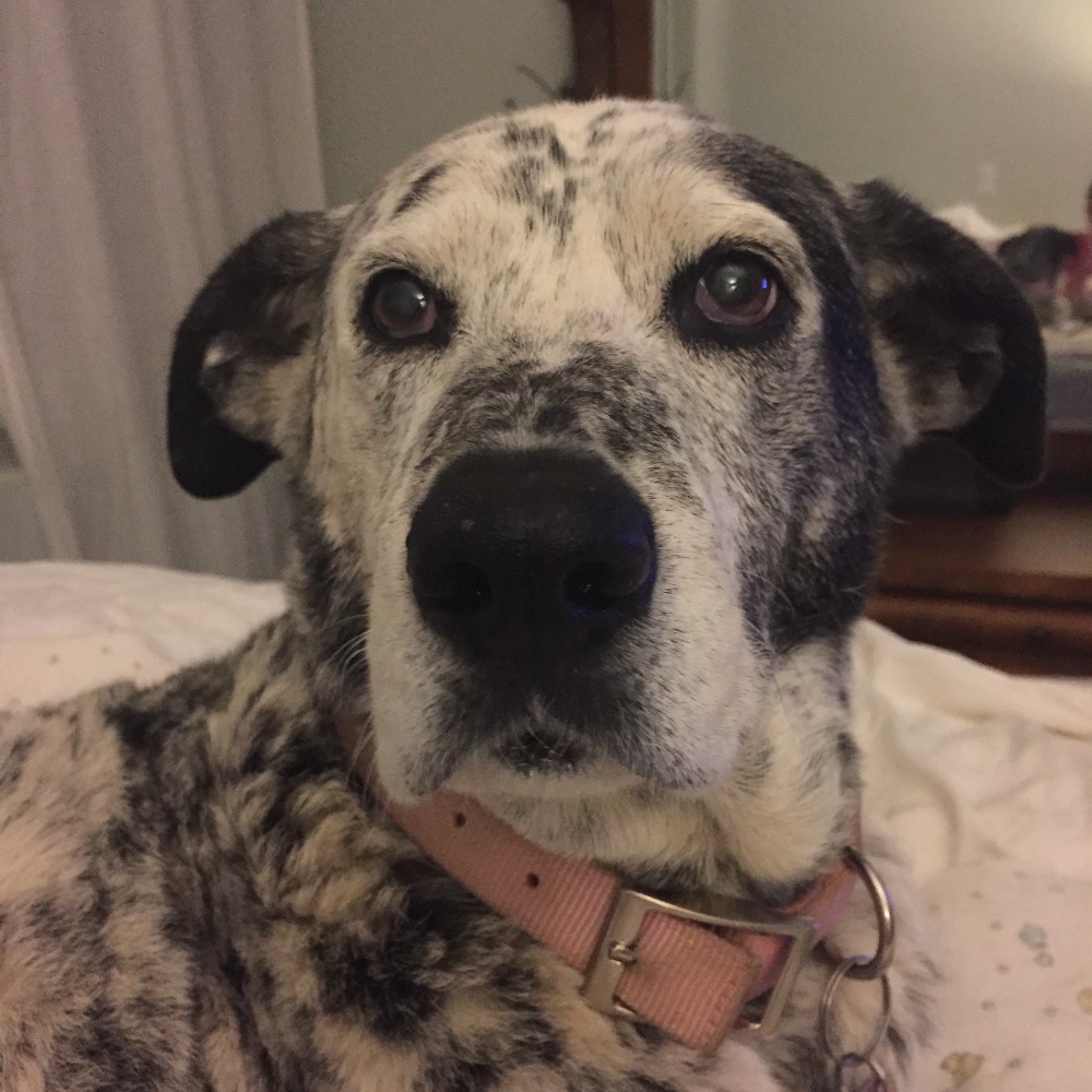 Meet your Posher, Kristie